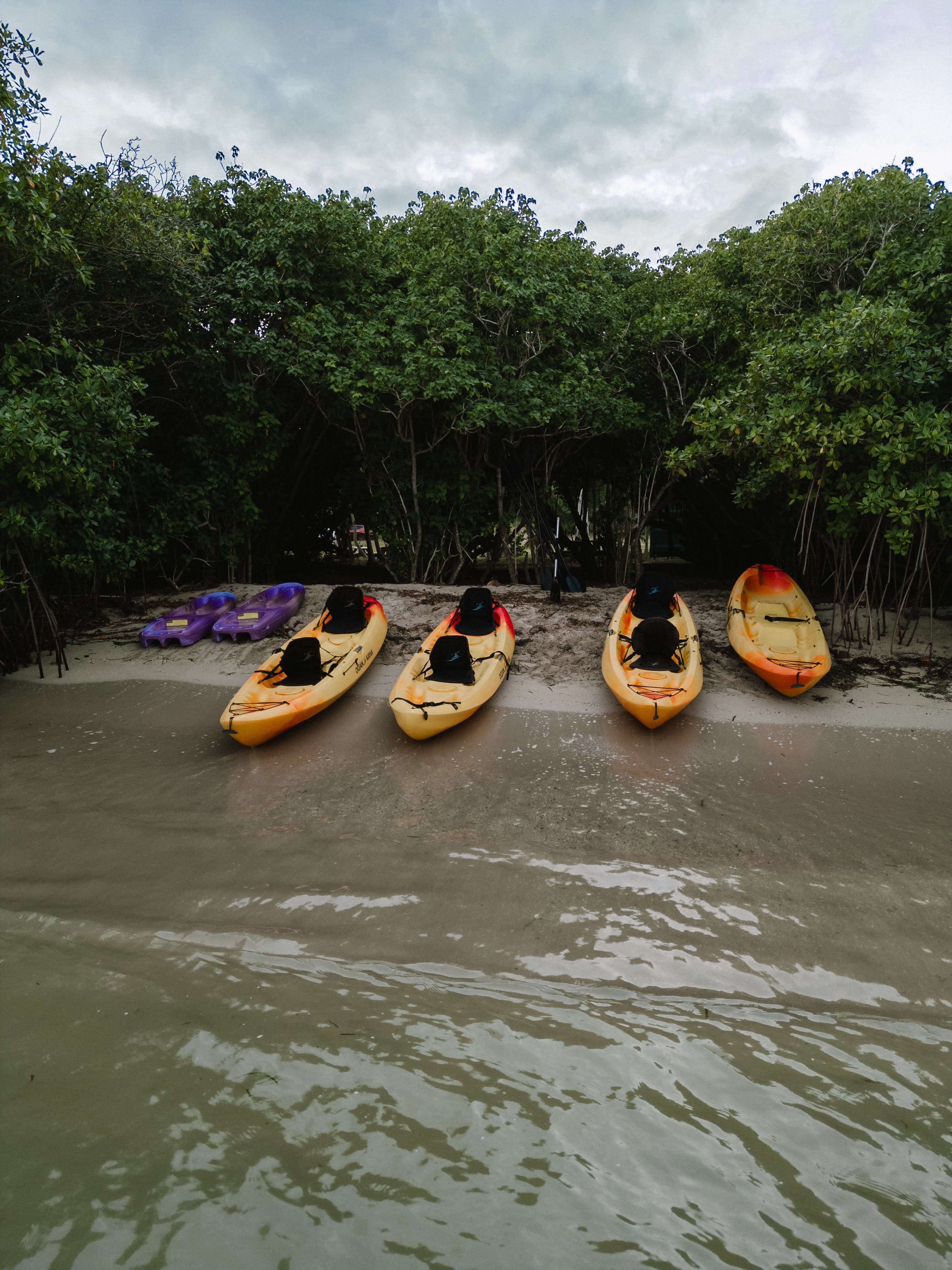 Moonlight Night Kayaking guided tour, St. Croix USVI — BushTribe Eco Adventures