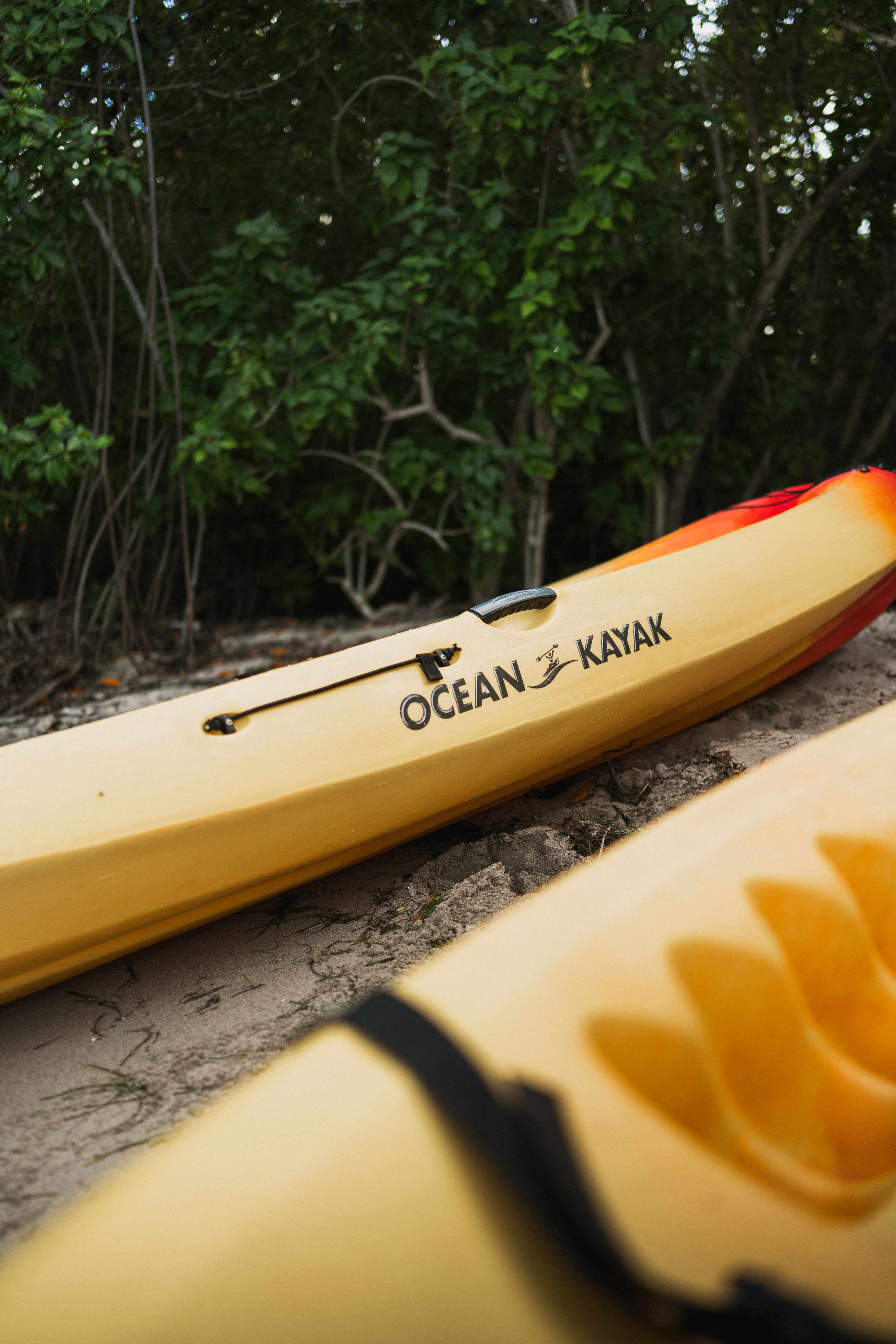 Two kayaks resting against lush tropical vegetation on the shores of St. Croix
